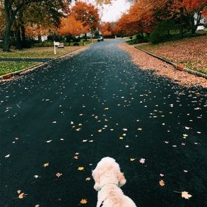 Meet your Posher, Griselda